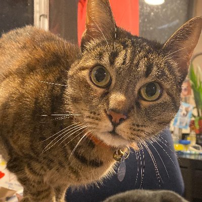 noelleco's profile picture. 