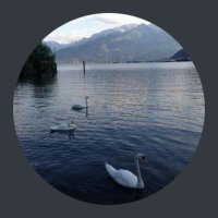 عبدالعزيز (@az1444) Twitter profile photo