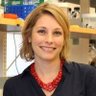 SchaferLabUMass's profile picture. Laboratory of Dori Schafer