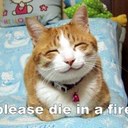 Liam Hynes - @Liamturkey678 - Twitter