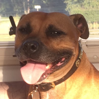 SusanMS57's profile picture. Retired Head Of Maths. Lives with a Battersea Staffie, camper van owner, ukulele player, gardener, reader. Fan of 60s & 70s music.