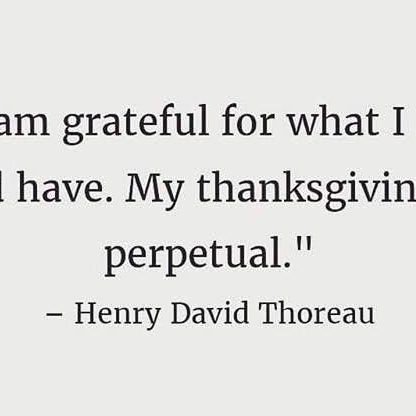 MelissaGeist3's profile picture. 