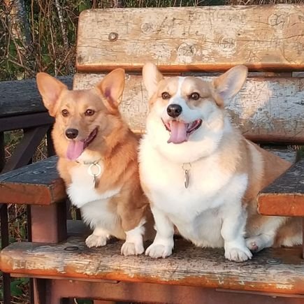 max2ca's profile picture. 