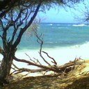 Gregory Hartzell - @Jadeneedle - Twitter