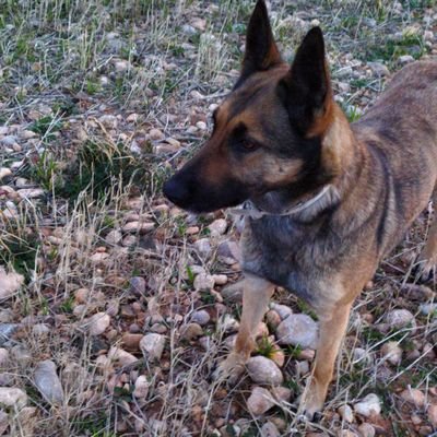 Alparcero2's profile picture. 