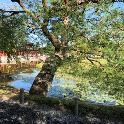 えいた ずっと専業主婦なのにろくなご飯も作らない 自分がお腹いっぱいの時 大抵菓子食って腹いっぱい の時はご飯作らない 買い物下手で冷蔵庫に食材が無い 勝手に料理しようものなら勝手に使うな と怒る 毒母 毒親