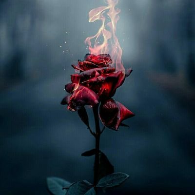 jboadu1's profile picture. It's a crime to be me.. really