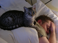 magnus2025's profile picture. "Talk is cheap, Show me the code."
Techno Music & Coding rock my world