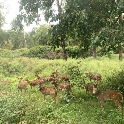 goutammajumdar0's profile picture. Retired Management professional