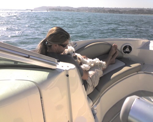 ShellyFitzOC's profile picture. Shelly Fitzpatrick