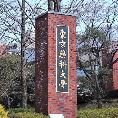 東京薬科大学　2020年度新入生のための交流アカウントです！新入生向けガイダンスの情報はもちろん、サークル情報なども発信するので新入生はぜひフォローしてください！
入学前からみんな繋がろう!!
#春から東薬
#春から東京薬科大学