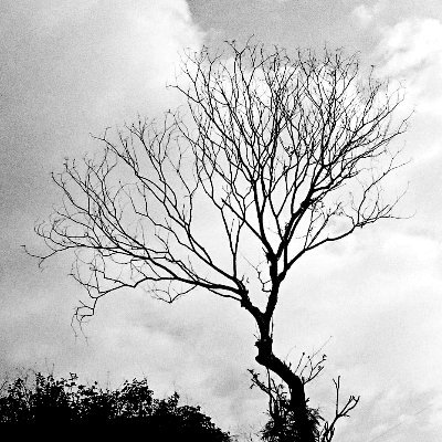 semplon's profile picture. a @metalgenix owner, @genixcms developer and some more...