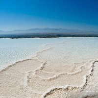 Sriniii (@srini411) 's Twitter Profile