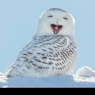 本人…精神障害、糖尿病、音楽や動物、笑えるものが好き
息子…ストレスを身体の不調と化す精神性転換障害(頭痛、肋間神経痛)
娘…小4で起立性調節障害を発症、不安障害と診断され定時制から通信制高校転学後脳脊髄液漏出症専門医にて脳脊髄液漏出症と診断BP5回
高校3年間休学7年かけ卒業後、脳脊髄液漏出症療養中