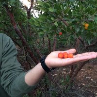 إبراهيم العمروني. (@ibrahim_mi14) 's Twitter Profile