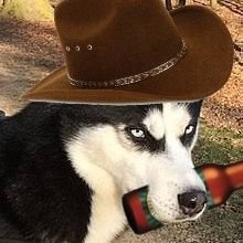 eljaski_snlonse's profile picture. Guau Guau Guau Pariente!