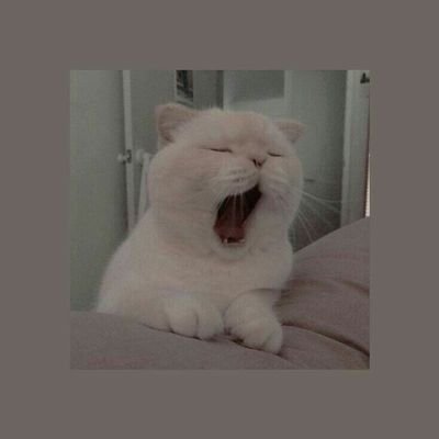 Wulansuciraa1's profile picture. isinya sambat 👄✨