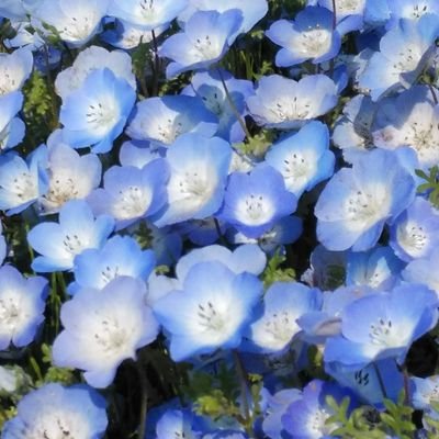サンキさんのプロフィール画像
