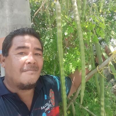 gmie7172's profile picture. Never give up...redha dan sentiasa bersyukur