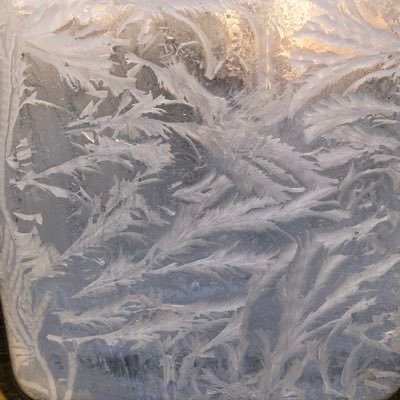 maxtwo6_maxtwo's profile picture. 