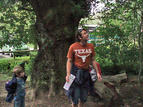 Tree Surgeon and Arborist working in North London and beyond. We offer a full range of arboricultural services. I'm also Dad and love football.