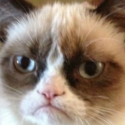 rushoftheocean's profile picture. 