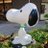 kobuta_ecology