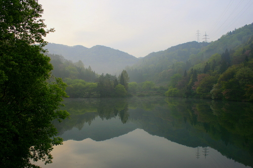 PSA111's profile picture. 공정하고 상식이 통하면서 따뜻한 사회가 되기를 희망합니다...