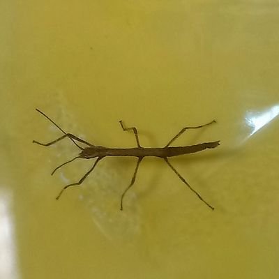 EGenicourt's profile picture. 