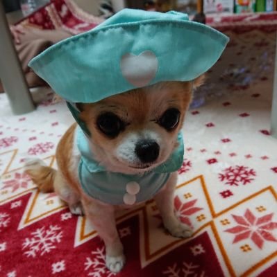 おねえやんさんのプロフィール画像