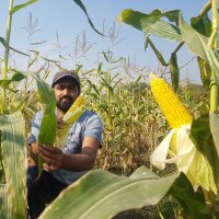 Muhammad Akmal (@iakmalmalik) 's Twitter Profile