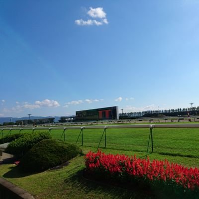 東サラと広尾で一口馬主やってます🐴
競馬・一口馬主専用アカウントです。
おひさま☀️

1-5-6-3-0-13←本年戦績