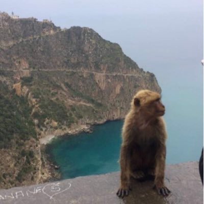 Bela_Souhila's profile picture. Research fellow @Bayesian agent-based model #PhD Ethnography @humanitiesUoS @Refugee #Migration #Amazigh studies #language #religion #art production #History