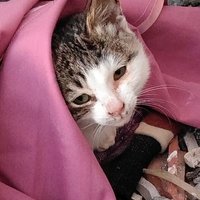 sogholme (@adbi123452) 's Twitter Profile