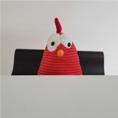 E5hvD91E1o6FT9u's profile picture. 