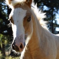 ArkDandy (@arthur18972410) 's Twitter Profile Photo ArkDandy (@arthur18972410) 's Twitter Profile Photo