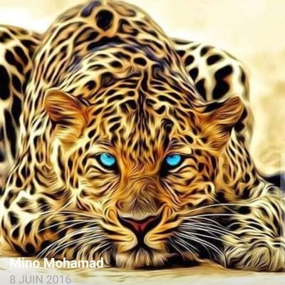 mecmecbousaMECM's profile picture. 