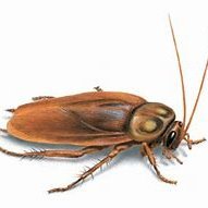 BugPalmetto's profile picture. Soon to be govt. pensioner. Loving low rates inflating the value of my unpaid for annuity. Free money advocate.