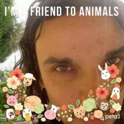 AndreaMaula's profile picture.