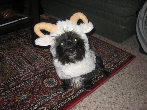 dukeofducks's profile picture. Tech enthusiast. Politics junkie. Hockey fan. Connoisseur of fine food & drink. I.T. Consultant in Edmonton AB/London Ont.