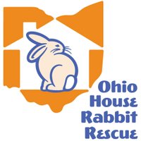 OhioHouseRabbitRescu(@OHRabbitRescue) 's Twitter Profile Photo