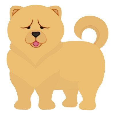 Chow Chow Dog Breed are sturdily built dog, square in profile with a small skull. They are one of the most beautiful and admired dog breeds.