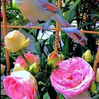 اسلام البابلي (@r3c2v5uud5irr4y) 's Twitter Profile
