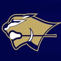 Newnan Lacrosse (@newnanlax) Twitter profile photo