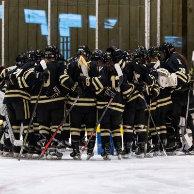 Westminster Girl's Hockey Updates