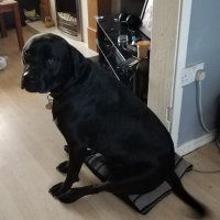 John Preston (@johnpreston84) 's Twitter Profile