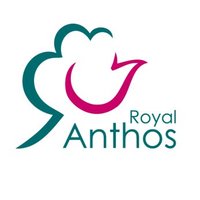 Royal Anthos (@anthosroyal) 's Twitter Profile