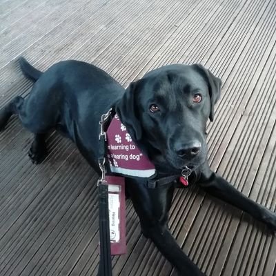 Jenny52284395's profile picture. 