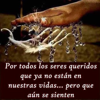 LaSobrevividora's profile picture. mientras tu sepas quien eres no te importe loq pienses los demas por qsolo tu sabras de tu querras y tus lagrimas y tus alegrias (solo vive)lo demas me es igual