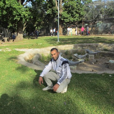 faridsaragosta's profile picture. 